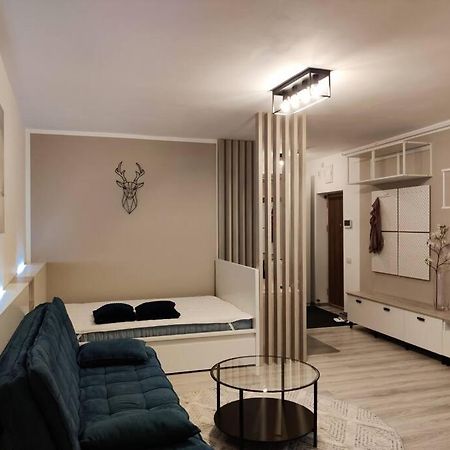 Joy City Stay Vivalia V6A-41 Timişoara Exterior foto